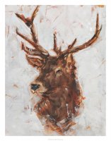 Stag Study I