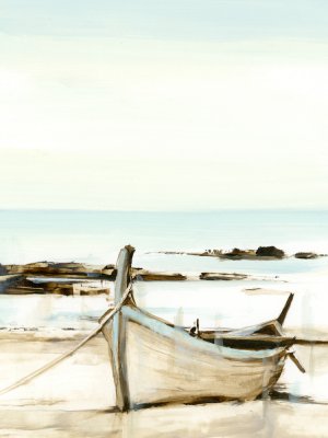 Rustic Row Boat II