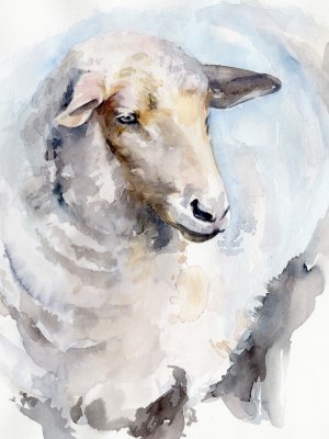 Watercolor Sheep I