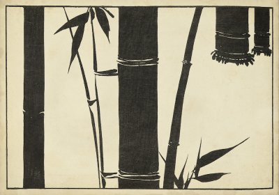 Japanese Bamboo A